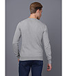 Мъжки памучен пуловер в сиво Claudio-1 снимка