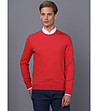 Мъжки памучен пуловер в червено Claudio-0 снимка