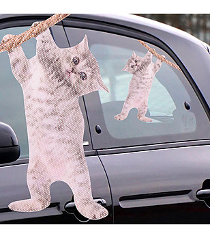Стикер за прозорец на кола Hanging Cat снимка