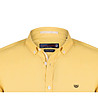 Мъжка памучна риза в жълто Hamlett-2 снимка
