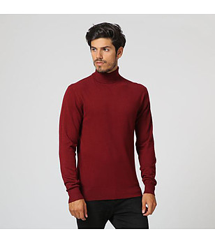Мъжки поло пуловер в бордо Mark снимка