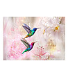 Фототапет Colourful Hummingbirds (Pink) 350x245 см-0 снимка