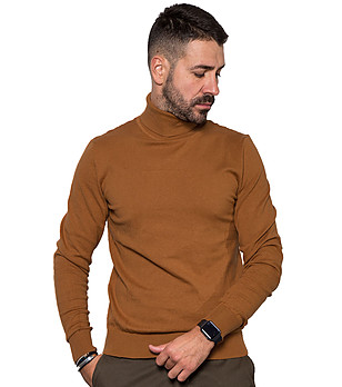 Мъжки памучен пуловер в цвят камел Marius снимка