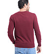 Мъжки пуловер в бордо Need-1 снимка