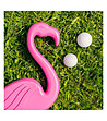 Комплект за голф Flamingolf-3 снимка