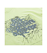 Дамска тениска с памук в цвят лайм Laila-3 снимка