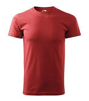 Мъжка памучна тениска в цвят бургунд Zan снимка
