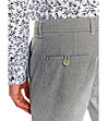 Сив мъжки панталон с памук Evan-3 снимка