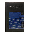 Комплект от 2 броя памучни мъжки сини слипове Blarideo-4 снимка