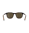 Мъжки слънчеви очила тип уейфеър в цвят хавана-3 снимка