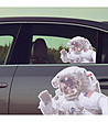 Стикер за кола  Astronaut-1 снимка