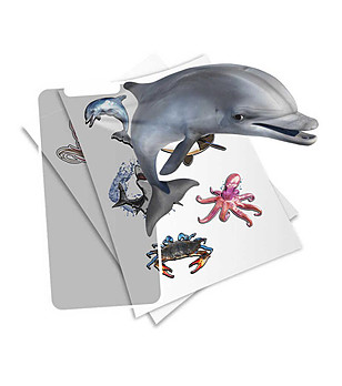 Стикери Морски животни с 3D анимации снимка