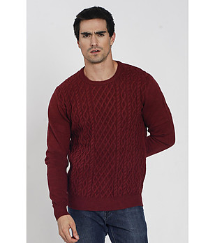 Мъжки пуловер в бордо с кашмир Zanter снимка