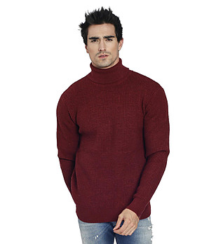 Мъжки пуловер Bryan в бордо с кашмир снимка