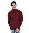 Мъжки пуловер Bryan в бордо с кашмир-0 снимка