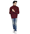 Мъжки пуловер Bryan в бордо-2 снимка