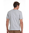 Мъжка памучна тениска в сиво с щампа листа Nicholas-1 снимка