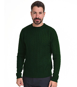 Зелен мъжки пуловер с плетеници Boyno снимка