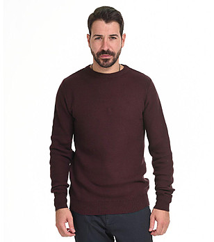 Памучен мъжки пуловер в бордо Linano снимка