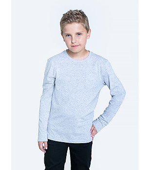 Памучна детска блуза в сив меланж Borodir снимка