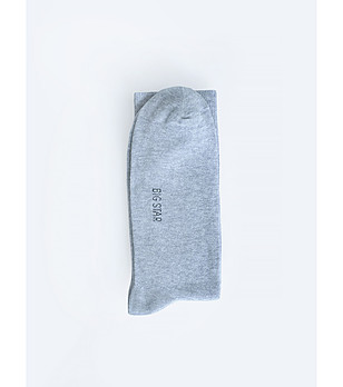 Сиви мъжки чорапи с памук Longi снимка