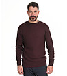 Памучен мъжки пуловер в бордо Linano-0 снимка