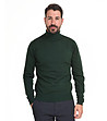 Памучен мъжки поло пуловер в зелено Raul-0 снимка