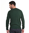 Зелена мъжка памучна блуза Abel-1 снимка
