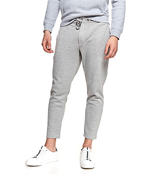 Спортно-елегантен мъжки сив панталон с памук Ellis снимка