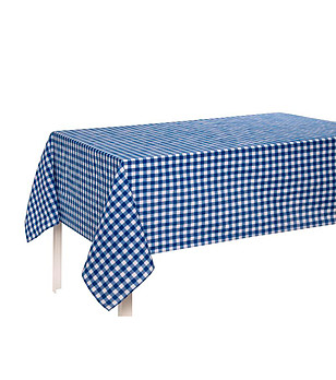 Карирана покривка за маса в синьо и бяло Sara 100х160 см снимка