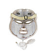 Златна LED маска за лице за светлинна терапия-1 снимка