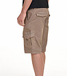 Бежов памучен мъжки къс панталон Frank-3 снимка