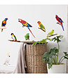 Декоративен стикер Oiseaux tropicaux-0 снимка