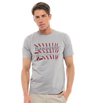 Памучна мъжка тениска в сиво Flawsome снимка