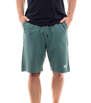 Зелен памучен мъжки къс панталон Hatings снимка