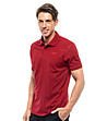Памучна тъмночервена мъжка блуза с лого Splendid-2 снимка