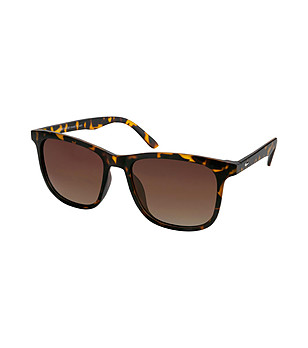 Дамски слънчеви очила в цвят хавана Daisy снимка