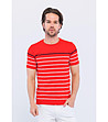 Червена мъжка тениска на райе в бяло и тъмносиньо Carlino-0 снимка