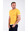 Мъжка тениска в жълто с бели кантове Bernard-2 снимка