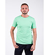 Памучна светлозелена мъжка тениска Chuck-0 снимка