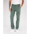 Зелен памучен мъжки панталон Lark-0 снимка