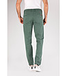 Зелен памучен мъжки панталон Lark-1 снимка