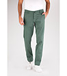 Зелен памучен мъжки панталон Lark-2 снимка