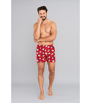 Червени мъжки боксерки с принт Elder снимка