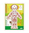 Дървен пъзел Човешкото тяло  момиче-1 снимка