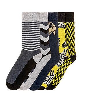 Комплект от 5 чифта мъжки памучни чорапи Avorio снимка