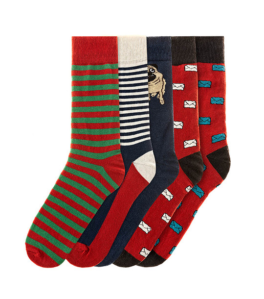 Комплект от 5 чифта мъжки памучни чорапи Robert снимка