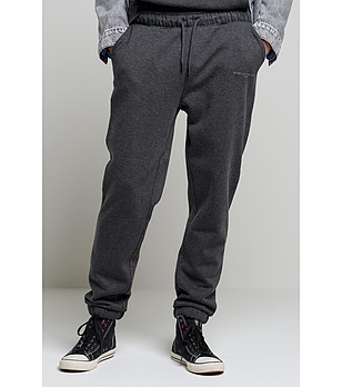 Тъмносиво мъжко долнище William снимка