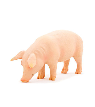 Малка фигурка наведено Прасе снимка