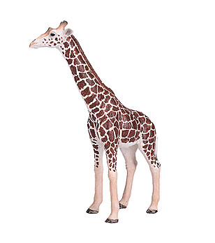 Малка фигурка на мъжки Жираф снимка